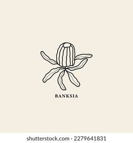 Line art banksia flower illustration