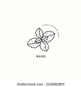 Line art basil branch illustration