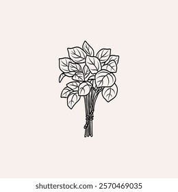 Line art basil bunch illustration