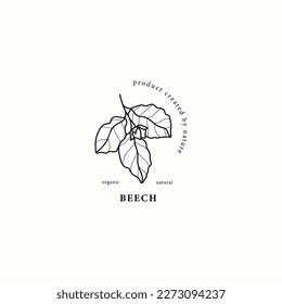 Line art beech tree branch illustration