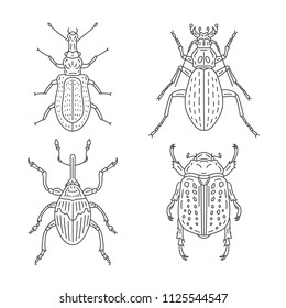 Line Art Beetle Collection