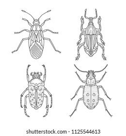 Line Art Beetle Collection