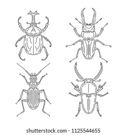 Line Art Beetle Collection