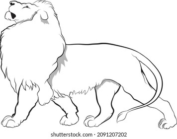 Line art of a big cat, Vector illustration of a Lion, Outline image of a predator