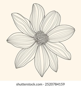 Arte de línea Cabeza grande de la flor de la dalia sobre fondo beige 