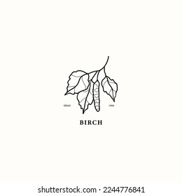 Line art birch branch illustration