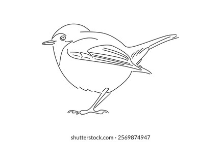 line art of bird illustration