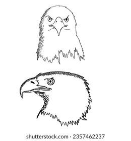 Line art of bird in illustrator