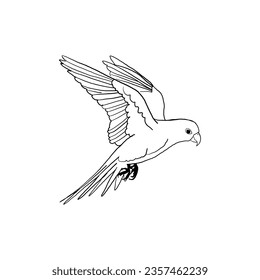 Line art of bird in illustrator