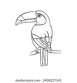 Line art of bird, vector illuatration art.