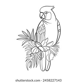 Line art of bird, vector illuatration art.