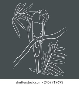 Line art of bird, vector illuatration art.