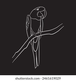 Arte de la línea de pájaro, arte de la ilustración del Vector.