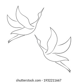 Line art. Birds isolated on white. Set of vector design element.