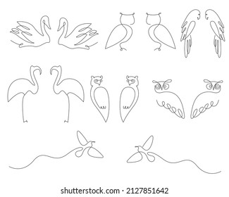 line art birds owl flamingo parrot colibri swan