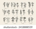 Line art birth month flowers collection