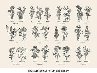 Line art birth month flowers collection