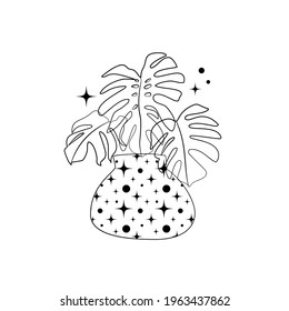 Line art black tropical potted house plant monstera isolated on white background. Stock vector illustration.