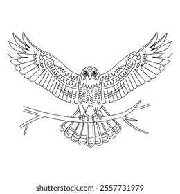 A line art black and white coloring page of a bird of prey with its wings spread wide.