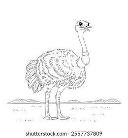 A line art black and white coloring page of a ostrich 