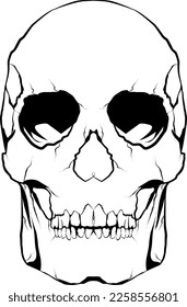 line art black and white skull vector