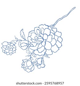 Line Art Blue Flower. Vector Illustration.