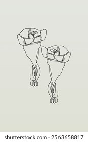 Line art botanical background illustration. Botanical wall art painting poster
