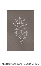 Line art botanical background illustration. Botanical wall art painting poster
