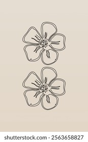 Line art botanical background illustration. Botanical wall art painting poster