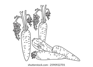 Line art botanical collection with carrots isolated on white background. Hand drawn outline set of vegetables vector illustration. Graphic design for Birthday Invitation Coloring Book Market Card