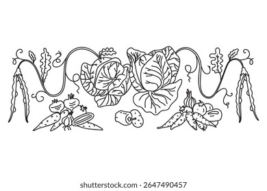 Linha arte botânica decorativo diferentes vegetais padrão de borda horizontal isolado no fundo branco. Mão desenhado esboço vegetais legumes com raízes caules Folhas ilustração vetor. Design gráfico