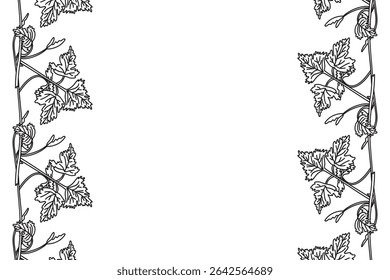 Line art botanical floral vertical border with grapevine isolated on white background. Hand drawn outline vine plant with long stem and leaves vector illustration. Graphic design element for Birthday 