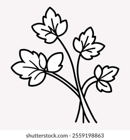 Line art, botanical illustration, simple leaf design, black and white, minimalist drawing, four leaves.