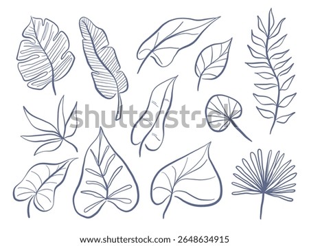 Line Art Botanical Leaf Collection. Aesthetic set of 12 tropical and organic leaf illustrations drawn in fine blue line art with diverse forms from heart shaped to palm fan perfect for nature visuals