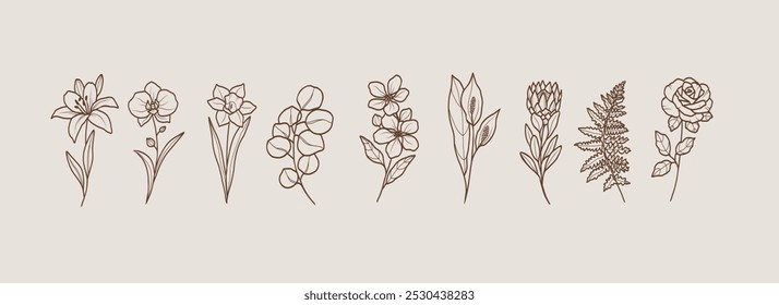 Botanische Logotypen für Linienkunst. Lilie, Orchidee, Narzisse, Eukalyptus, Apfelblüte, Spatiphyllum, Protea, Farn, Rosengrafik