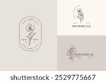 Line art botanical logotypes. Orchid, apple blossom, eucalyptus illustration