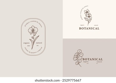 Botanische Logotypen für Linienkunst. Orchidee, Apfelblüte, Eukalyptusgrafik