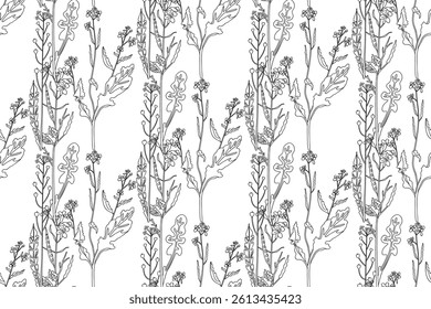 Line art botanical plants floral seamless pattern with wildflowers vector illustration.Outline repeating doodle flowers in white background. Graphic design for Fashion Cover Textile Coloring Page Card