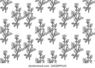Line art botanical seamless floral pattern with celandine vector illustration.Black outline repeating plant pattern in white background. Graphic design for Fashion Cover Textile Coloring Page Birthday
