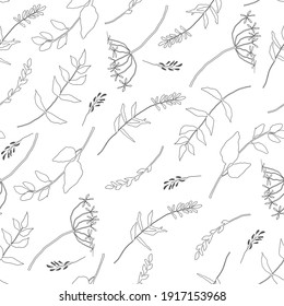 line art botanical seamless pattern. Field flowers seamless pattern template.