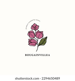 Line art bougainvillea flower drawing