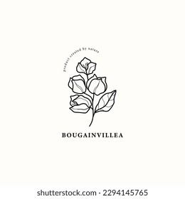 Line art bougainvillea flower illustration svg
