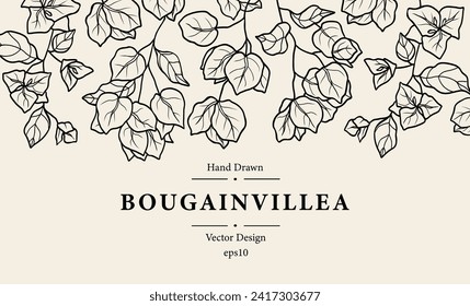 Line art bougainvillea flowers background svg