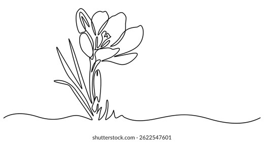 line art, bouquet of flowers crocus spring and summer, drawing with one line. vector illustration white background, Spring crocus flower in continuous line art drawing style. Minimalist black linear.