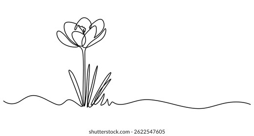 line art, bouquet of flowers crocus spring and summer, drawing with one line. vector illustration white background, Spring crocus flower in continuous line art drawing style. Minimalist black linear.