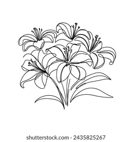 Line art, bouquet of lily flowers , drawing with one line, vector illustration white background.