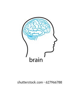 Line art brain icon, vector illustration