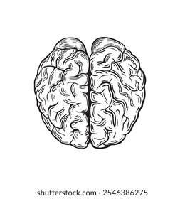 Vector de cerebro de arte de línea. Diseño minimalista para carteles y branding.