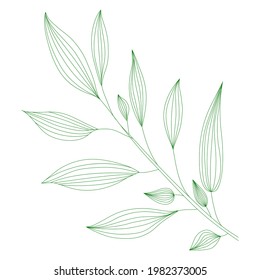 Line art branch with leaves. Vector minimalist outline illustration