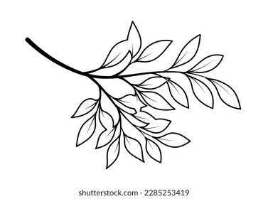 Rama de arte de línea. Hojas de palma y follaje. Parte del árbol del jardín. Esbozo para tatuaje, dibujado a mano. Selva y bosque. Biología, botánica y floristería. Dibujo vectorial plano de dibujos animados